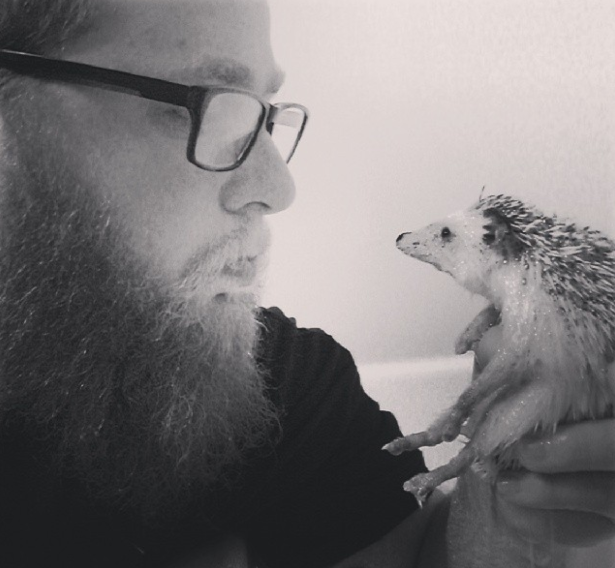 Och det verkar även alla husses 2490 instagramföljare också tycka. Och det verkar även alla husses 2490 instagramföljare också tycka.